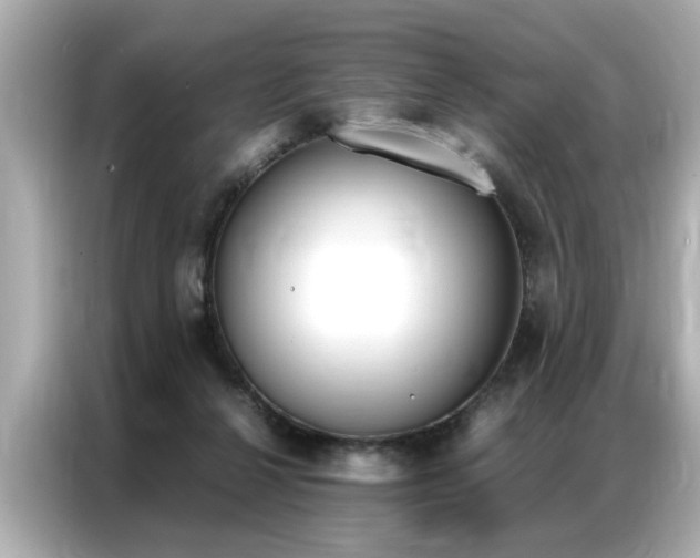 X0000087060264200704180943