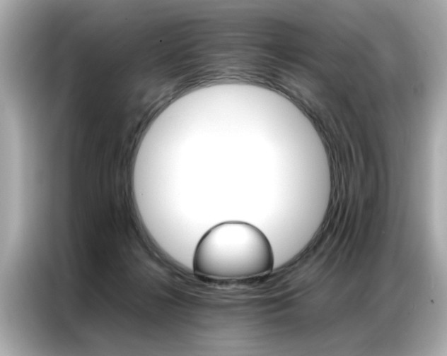 X0000087060268200704180943