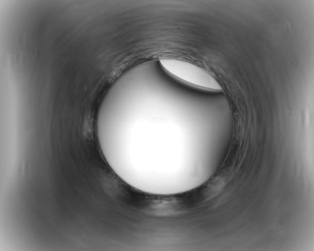 X0000087060274200704180943