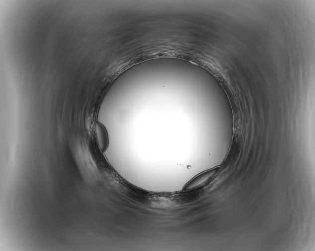 X0000087060285200704180944