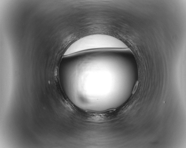 X0000087060288200704180944
