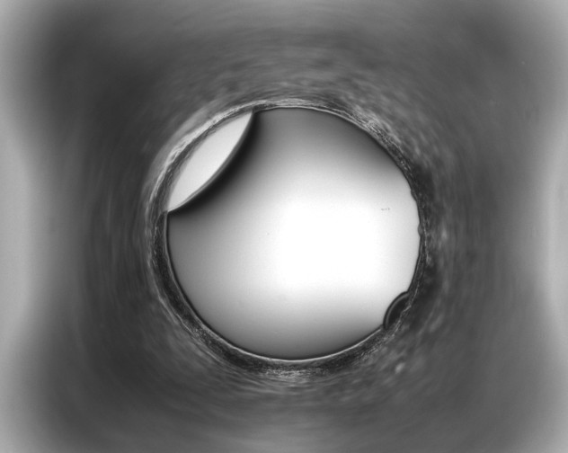 X0000087060295200704180943