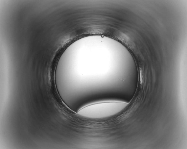 X0000087060300200704180943