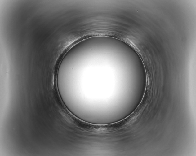 X0000087060301200704180943