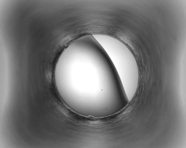 X0000087060309200704180943