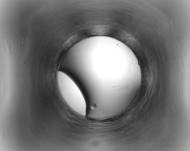 X0000087060312200704180943