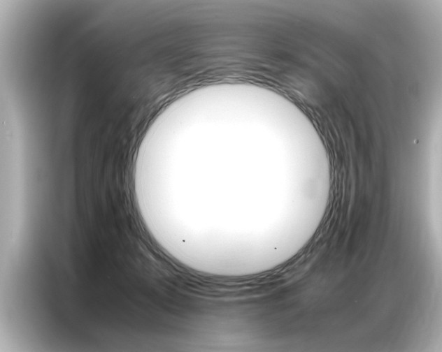 X0000087060319200704180943