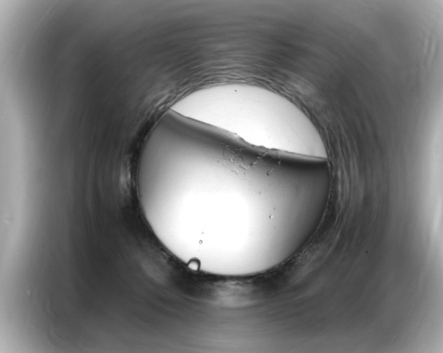 X0000087060320200704180943