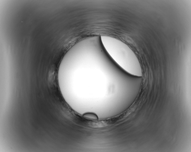 X0000087060322200704180943