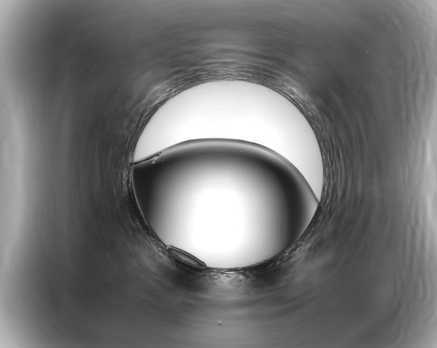X0000087060333200704180942