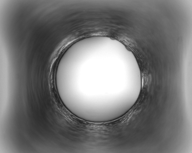 X0000087060339200704180942