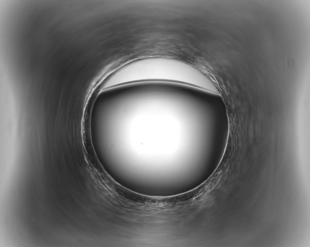 X0000087060340200704180942