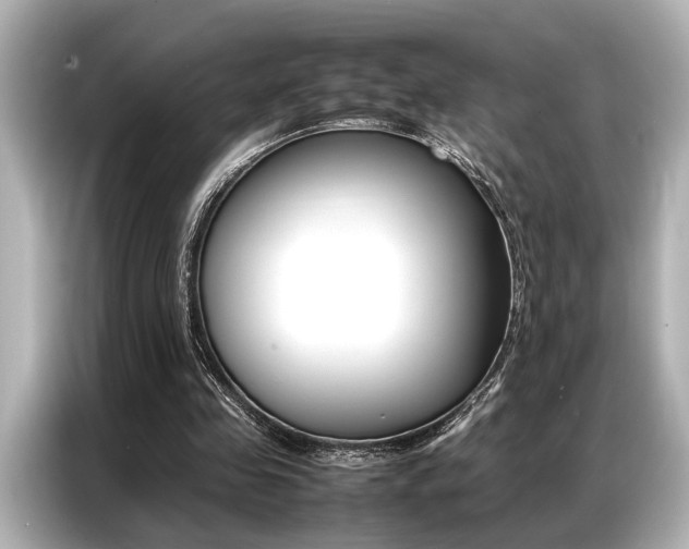 X0000087060341200704180942