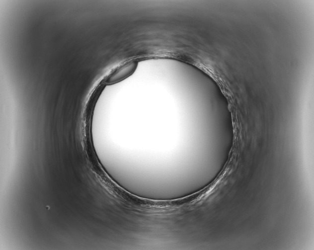 X0000087060342200704180942