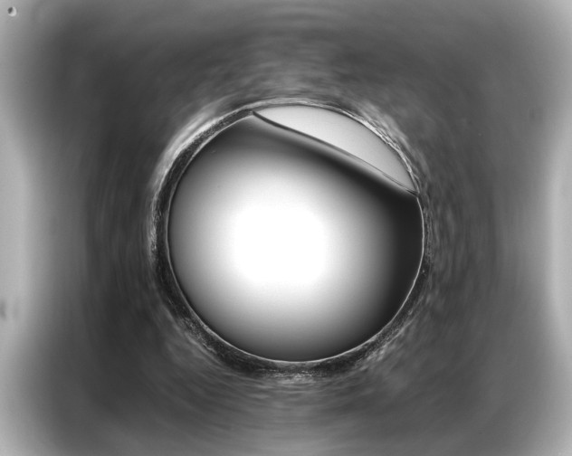 X0000087060344200704180942