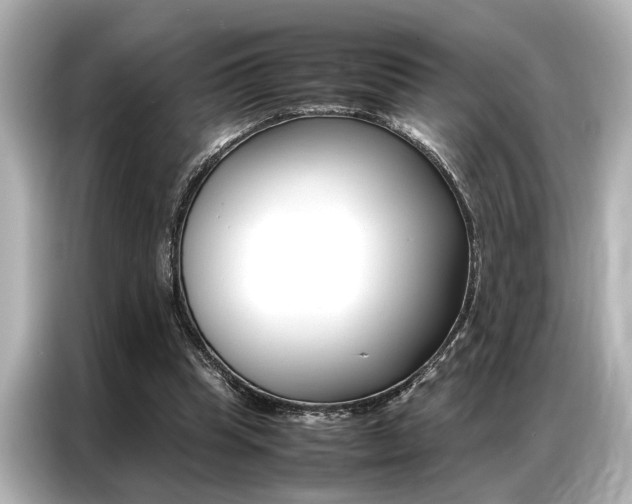 X0000087060345200704180942