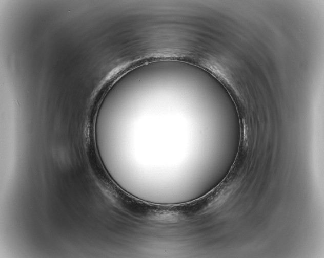 X0000087060348200704180942