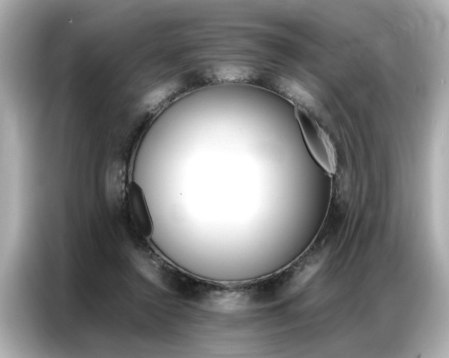 X0000087060356200704180942