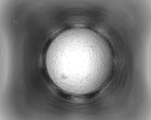 X0000087060359200704180942