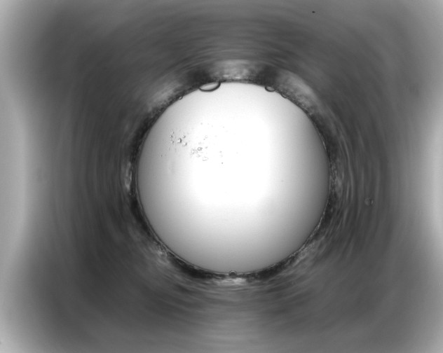 X0000087060374200704180942