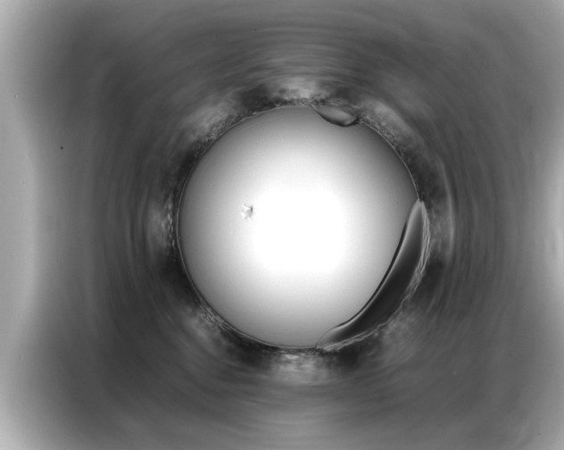 X0000087060376200704180942