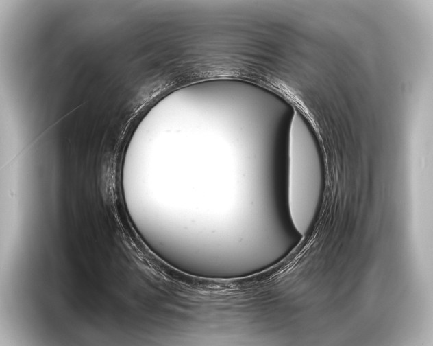 X0000087060386200704180942