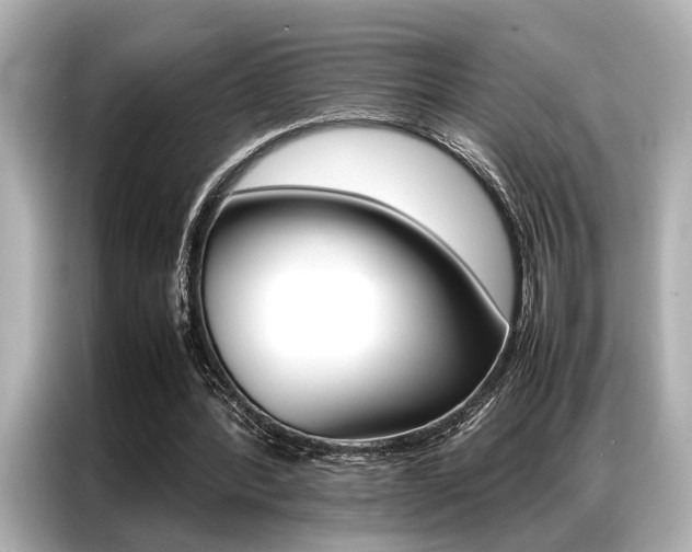 X0000087060388200704180942