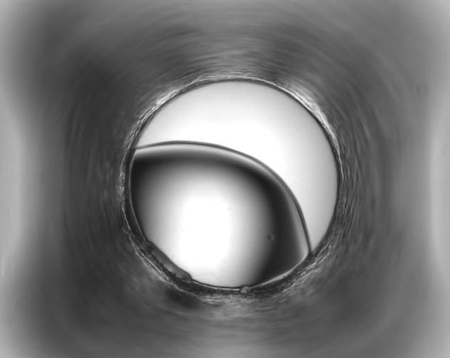 X0000087060389200704180942