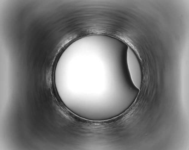 X0000087060390200704180942