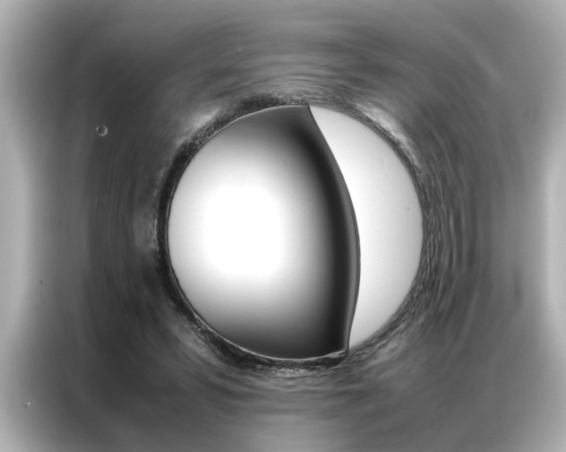 X0000087060399200704180941