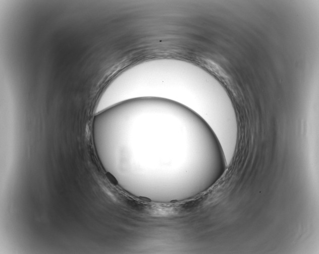 X0000087060405200704180941