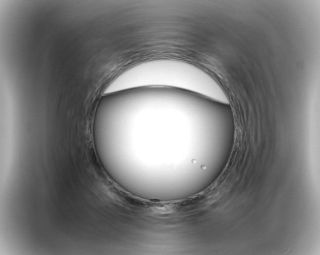 X0000087060411200704180941