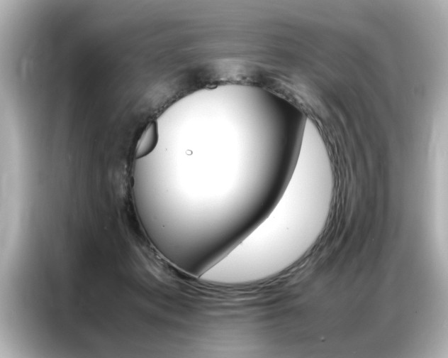 X0000087060413200704180941
