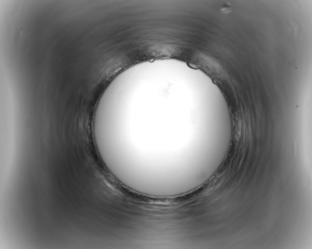 X0000087060414200704180941