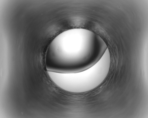X0000087060416200704180941