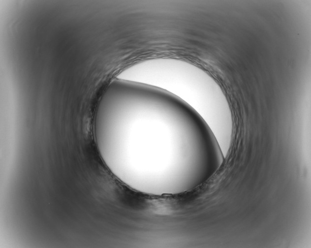 X0000087060417200704180941