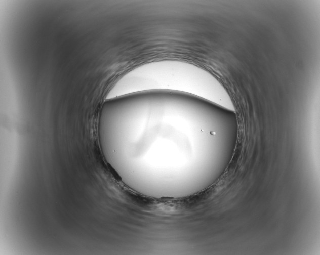 X0000087060423200704180941