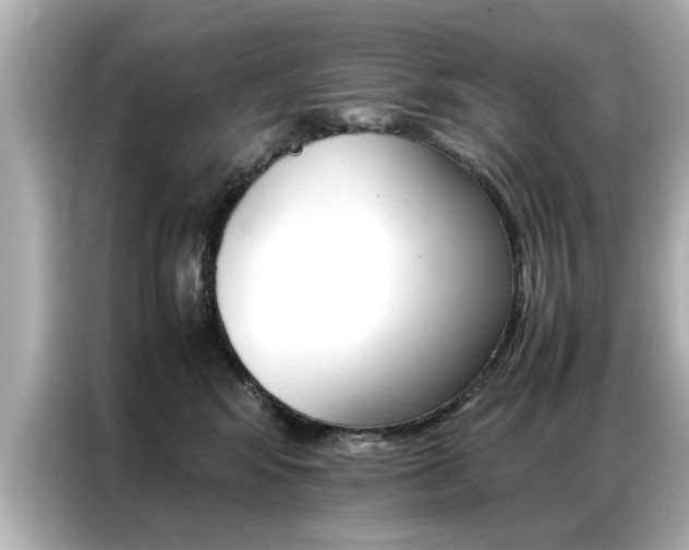 X0000087060424200704180941