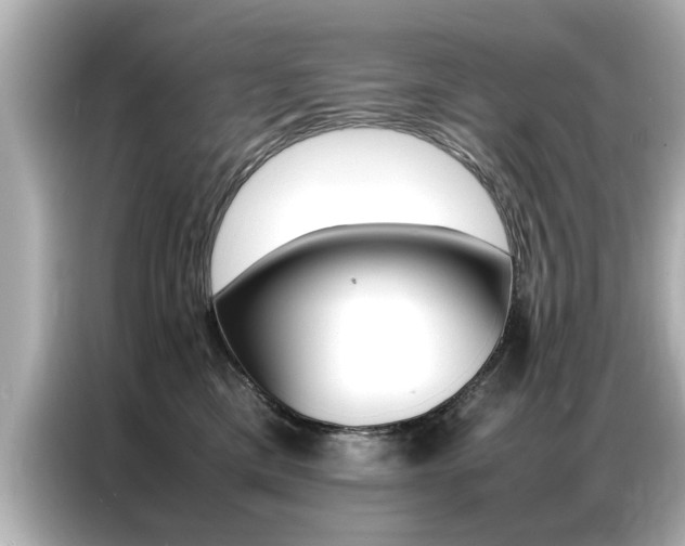 X0000087060425200704180941