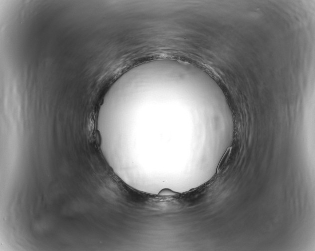 X0000087060427200704180941