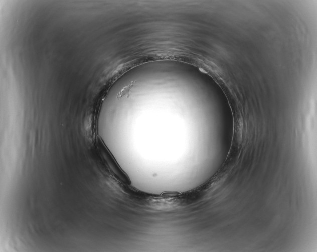 X0000087060428200704180941