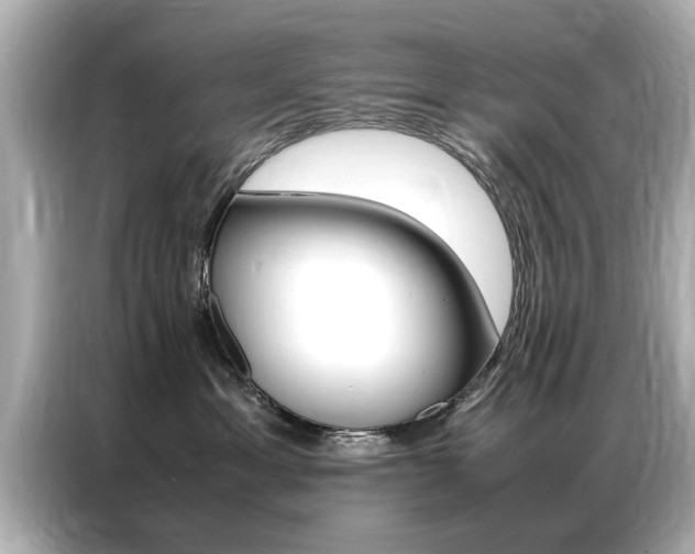 X0000087060429200704180941