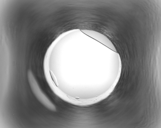 X0000087060431200704180941