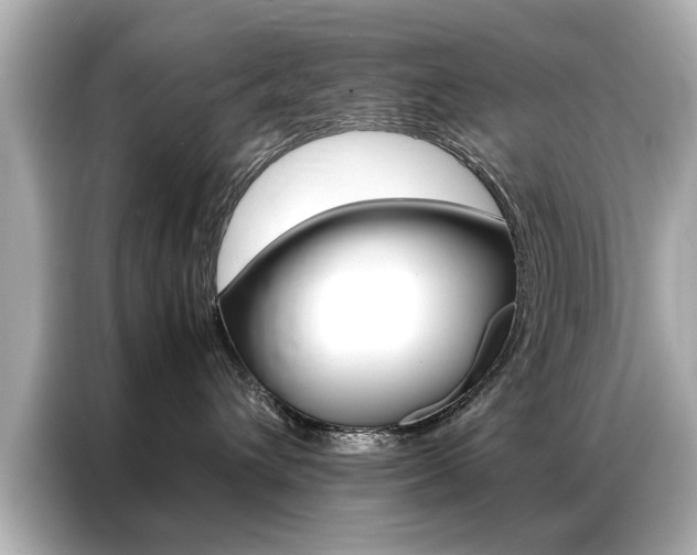 X0000087060432200704180941
