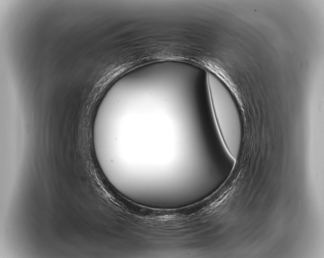 X0000087060433200704180940