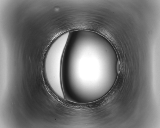 X0000087060434200704180940
