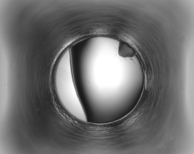 X0000087060435200704180940