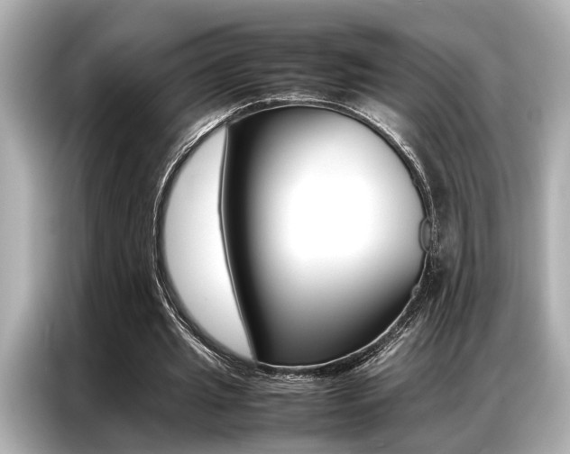 X0000087060437200704180940