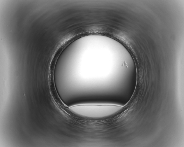 X0000087060439200704180940