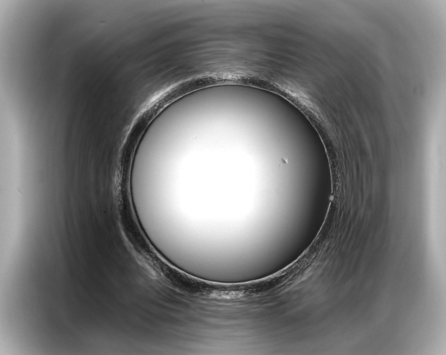 X0000087060440200704180940